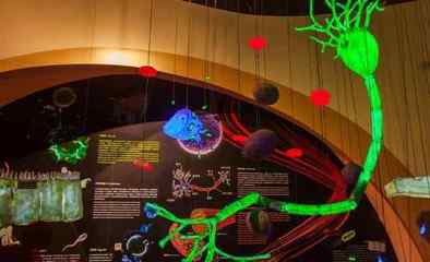 朱元晨与秦莉 在“造梦科技”的工厂里编织未来